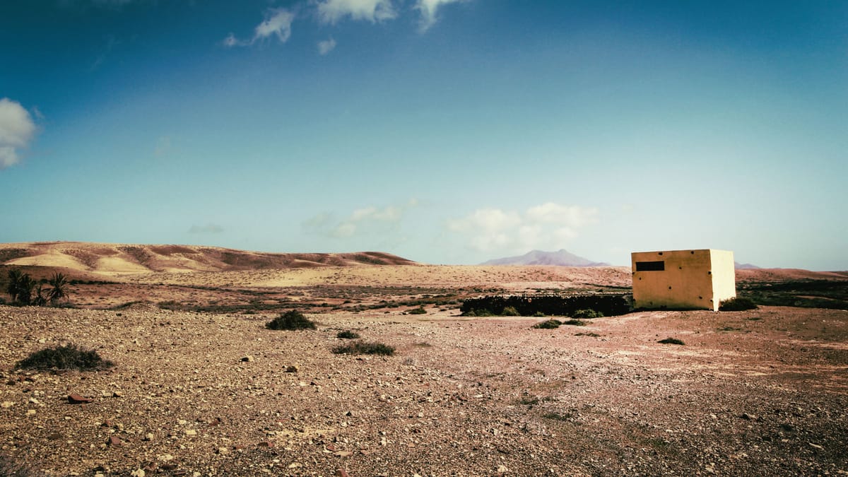 Real Estate in the Time of Cholera: The Aftermath, Part 1 - Brokerages