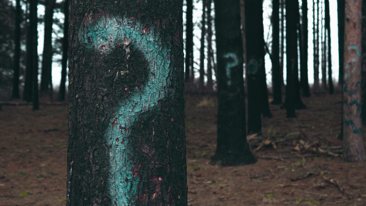 Questions for Cory Shepard, SDAR, CAR and NAR