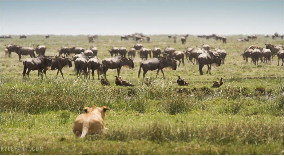 Do Not Minimize Ragnarok: Very Serious Legal Threat, Part 2