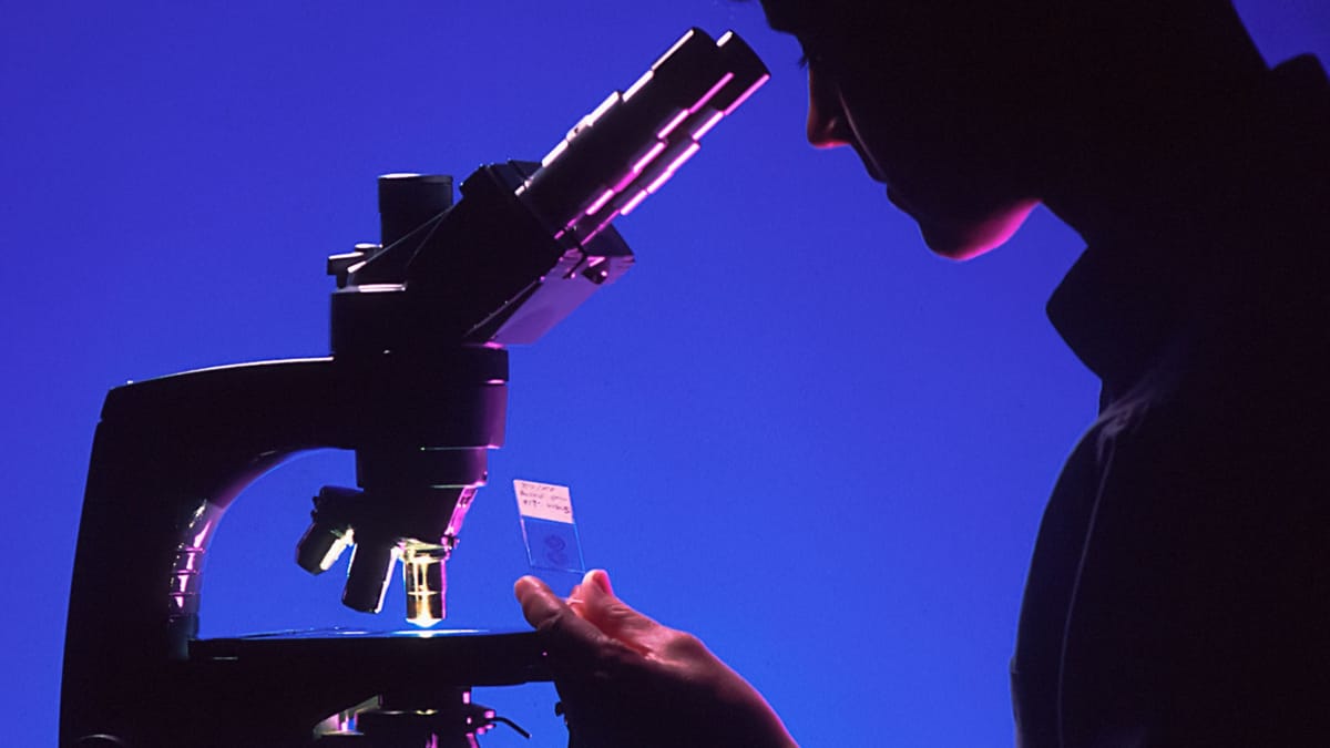 An Analysis of the Court's Dismissal of HomeServices from Batton v. NAR