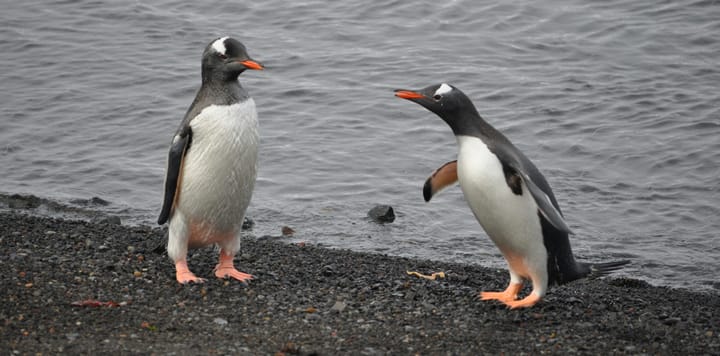 On the MLS PIN Response to the DOJ