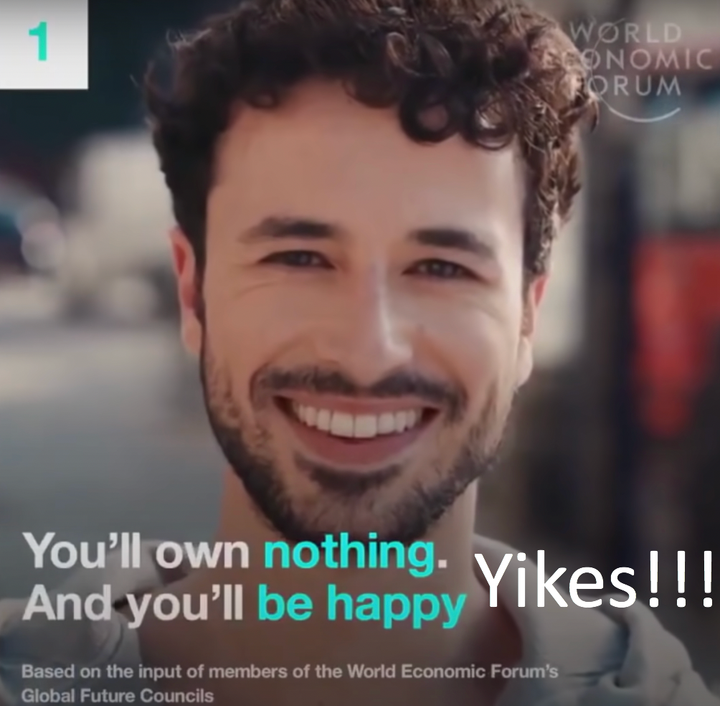 You'll Own Nothing and You'll Be Happy...Yikes